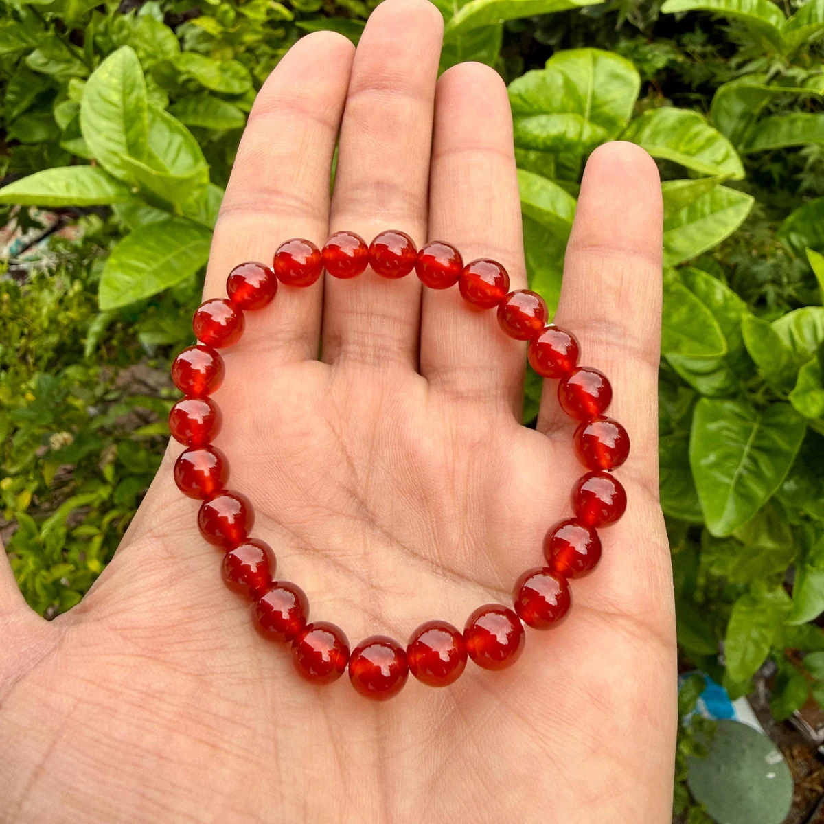 迎喜納祿·6毫米紅玉髓手串