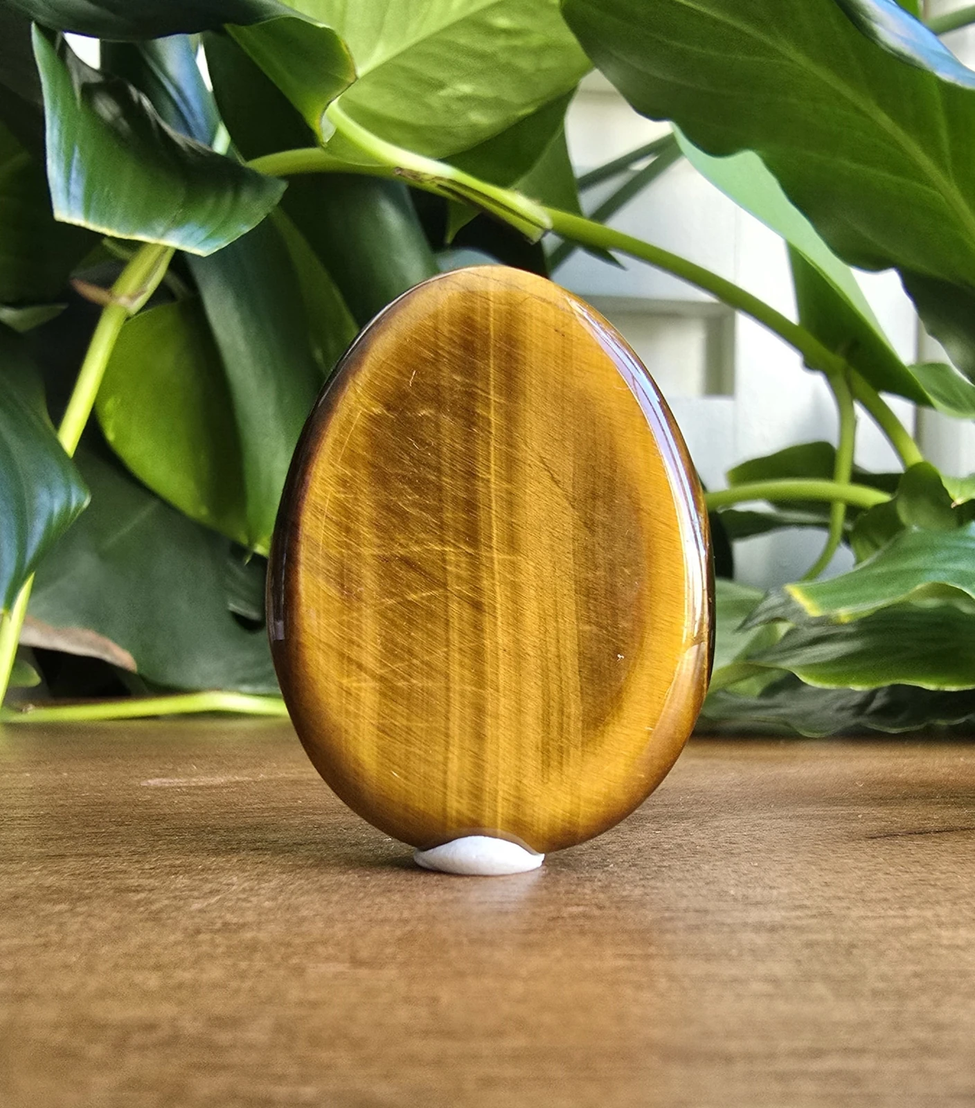 拋光虎眼石上的金棕色光帶